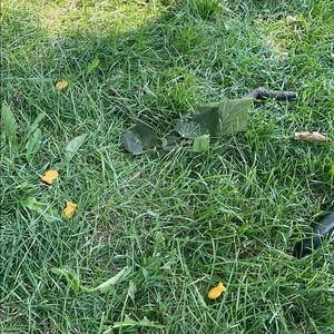 Meet your Posher, Jacob